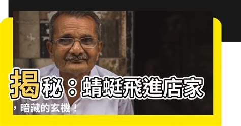 蜻蜓飛進店裡|【蜻蜓飛進店裡】蜻蜓飛進店，好運無極限！揭曉你意想不到的吉。